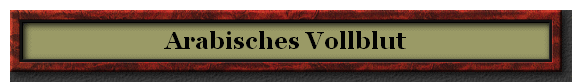Arabisches Vollblut